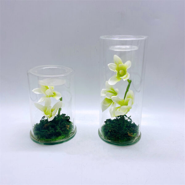 Winter Atelier Glass Candle Holder Set of 2